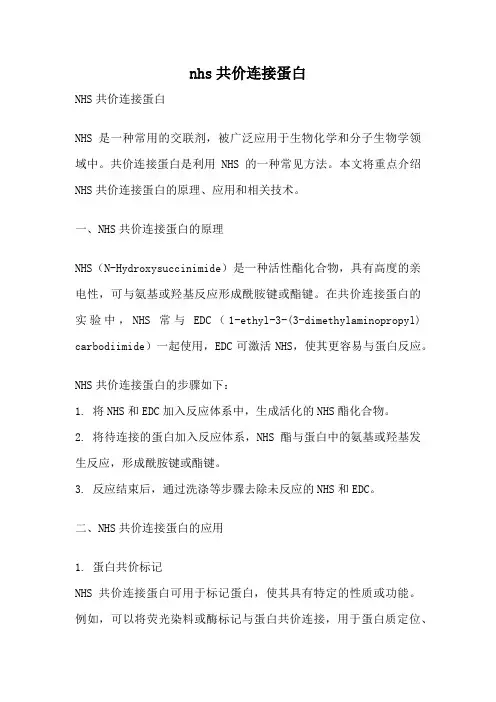 nhs共价连接蛋白