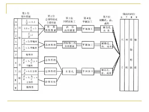 Opitz的基本结构图