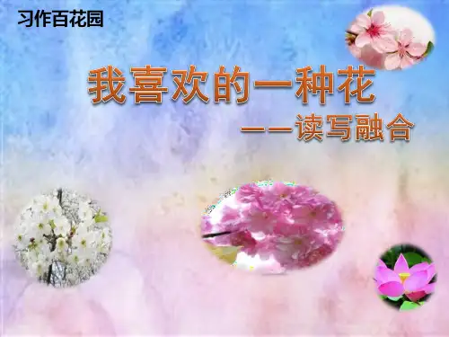 习作训练——我喜欢的花优秀课件