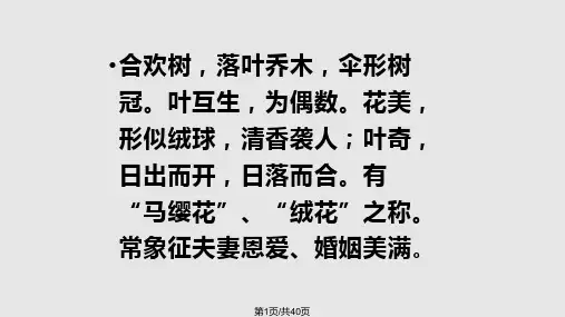 合欢树史铁生PPT课件