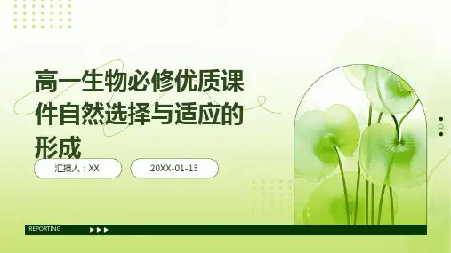 高一生物必修优质课件自然选择与适应的形成