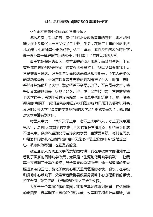 让生命在感恩中绽放800字满分作文