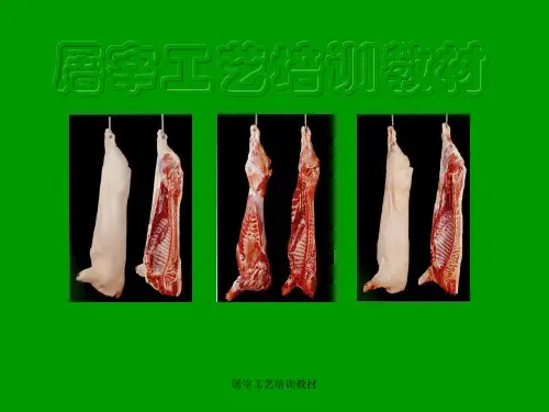 屠宰工艺培训教材讲师稿