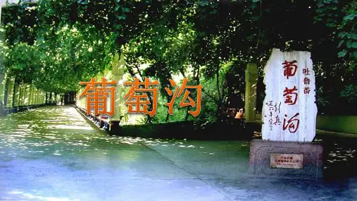 葡萄沟ppt课件
