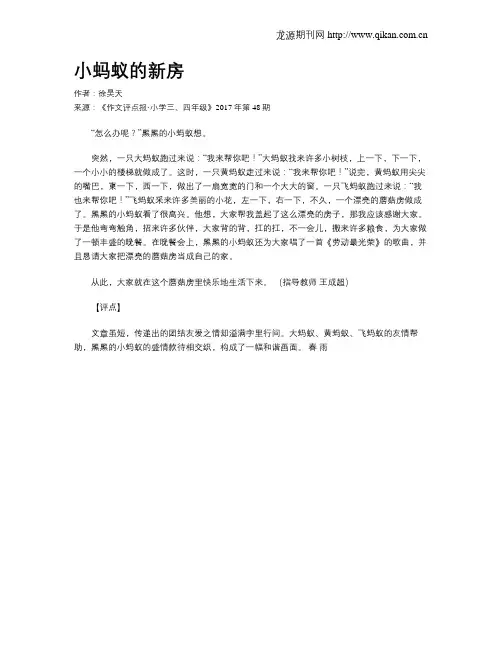 小蚂蚁的新房