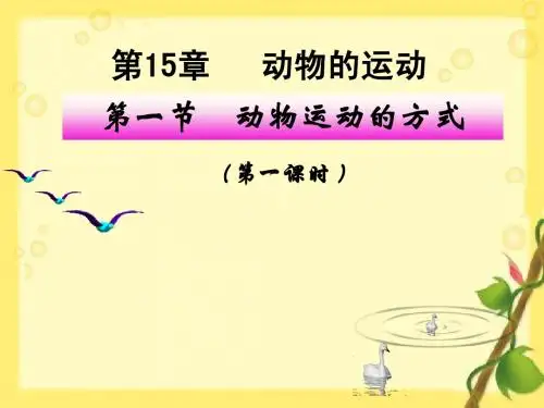 北师大版生物八年级上册15章1节动物运动的方式一课时精品课件