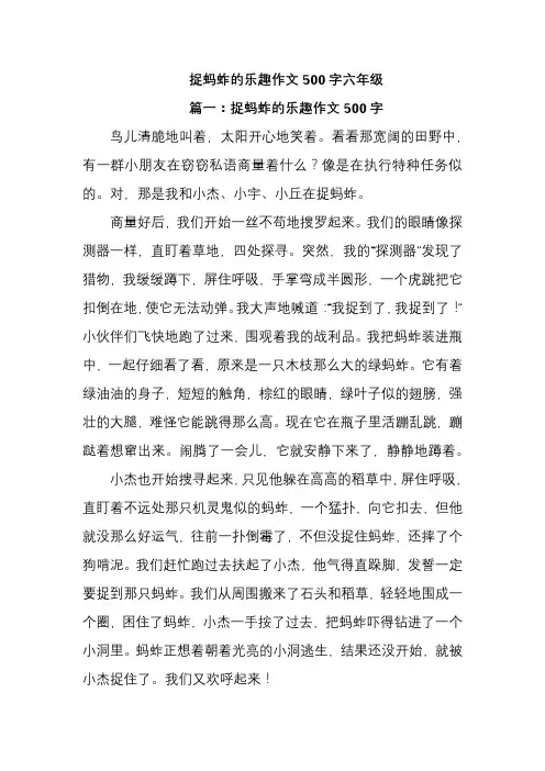 捉蚂蚱的乐趣作文500字六年级