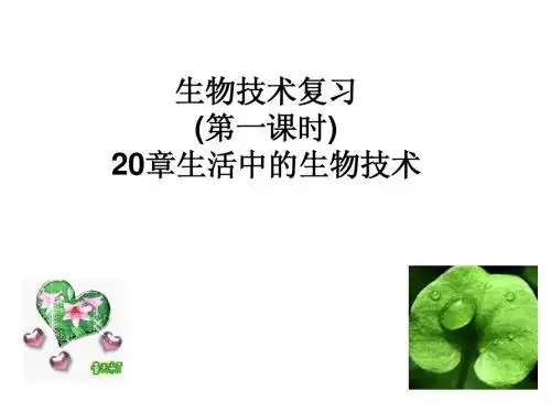 生物：20 日常生活中的生物技术 课件1(苏教版八年级下)