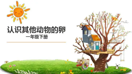教科版三年级下册科学《认识其它动物的卵》PPT教学课件