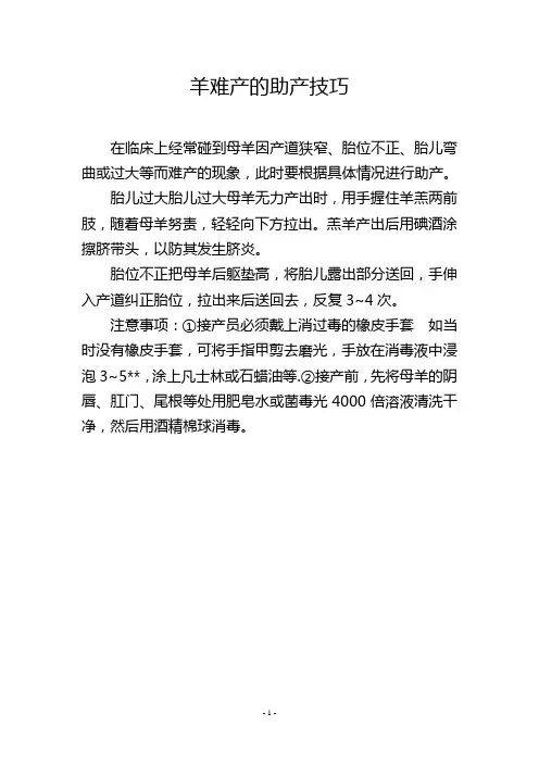 羊难产的助产技巧