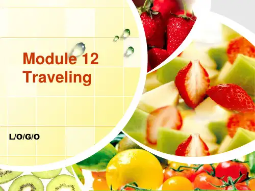 Traveling公开课课件