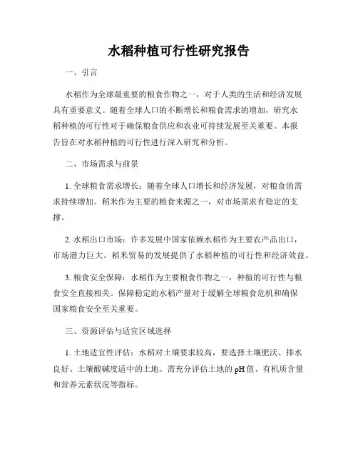 水稻种植可行性研究报告