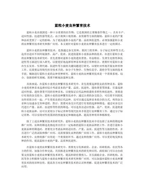 蓝粒小麦良种繁育技术