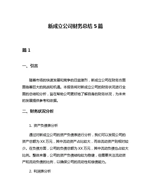 新成立公司财务总结5篇