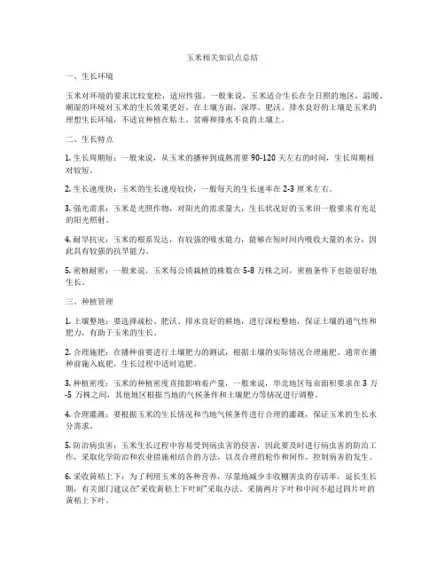 玉米相关知识点总结