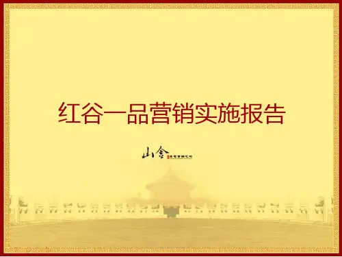 推荐-江西南昌红谷一品大盘项目营销推广实施报告93页 精品