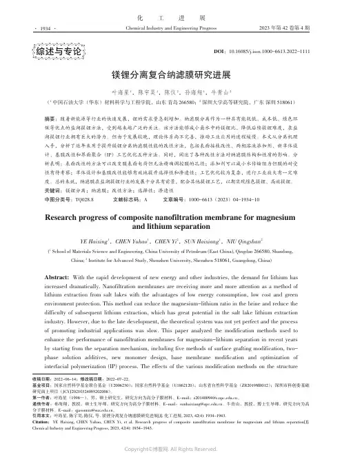 211171499_镁锂分离复合纳滤膜研究进展