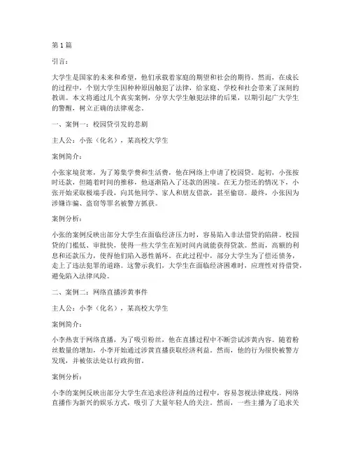 触犯法律大学生案例分享(3篇)