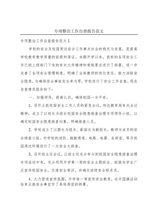 专项整治工作自查报告范文