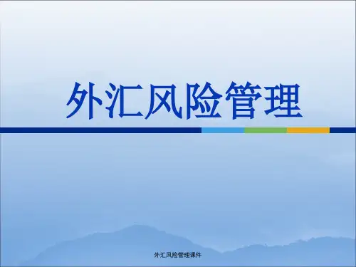 外汇风险管理课件