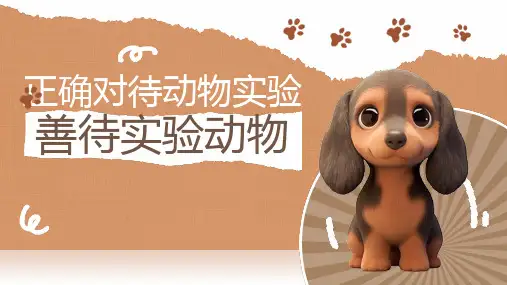善待实验动物正确对待动物实验宣传课件PPT