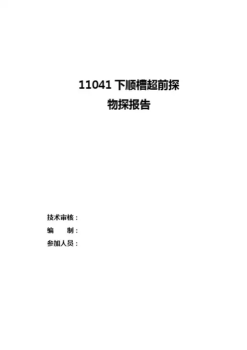 11041下顺槽物探报告