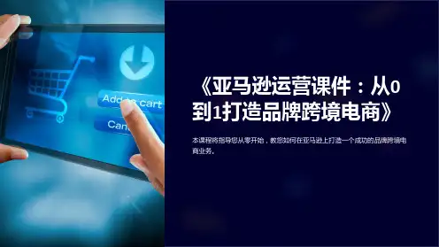 《亚马逊运营课件：从0到1打造品牌跨境电商》