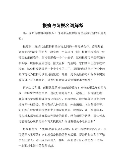 根瘤与菌根名词解释