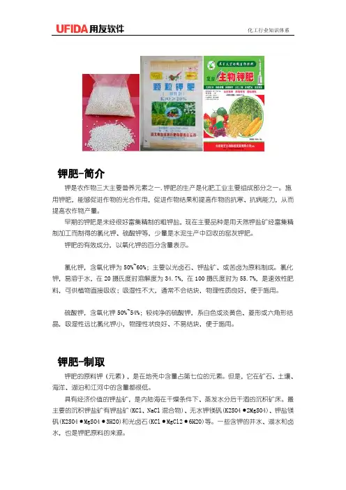 化肥-钾肥工艺介绍