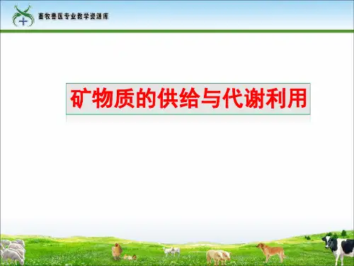 矿物质的供给与代谢利用