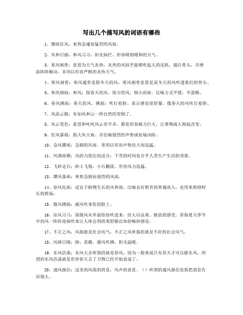 写出几个描写风的词语有哪些