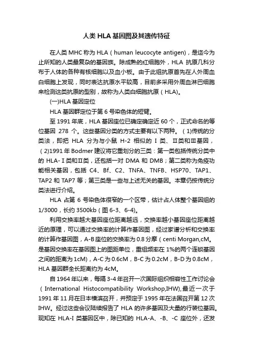 人类HLA基因图及其遗传特征