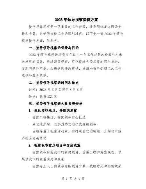 2023年领导视察接待方案