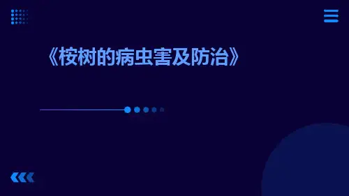 桉树的病虫害及防治