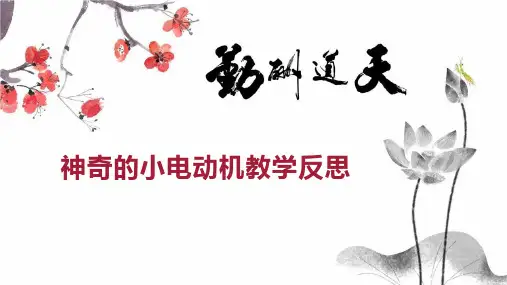 神奇的小电动机教学反思