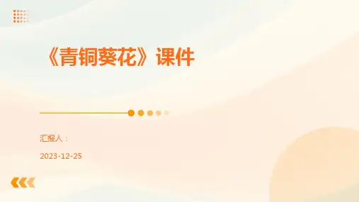 《青铜葵花》课件