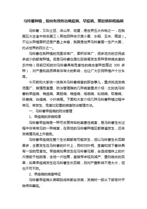 马铃薯种植，如何有效防治晚疫病、早疫病、黑胫病和疮痂病