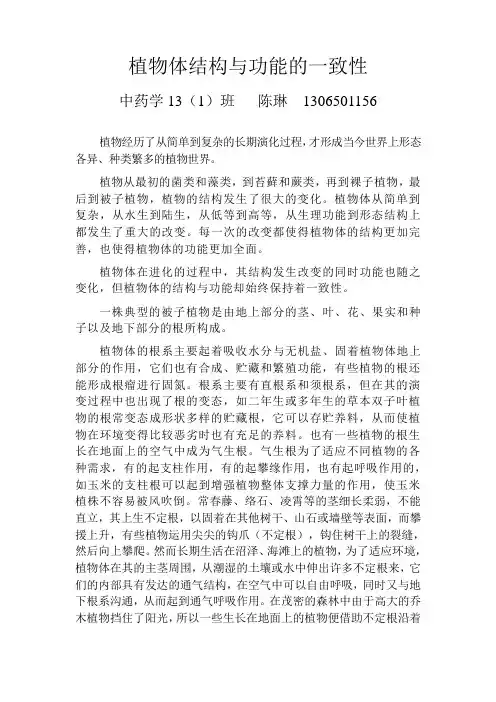 植物体结构与功能的一致性