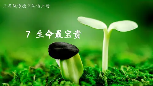 (2023秋)三年级上册部编版道德与法治《 生命最宝贵》PPT课件