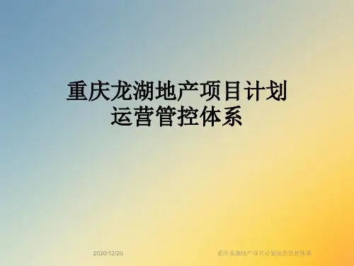 重庆龙湖地产项目计划运营管控体系