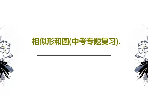 相似形和圆(中考专题复习).PPT文档共44页