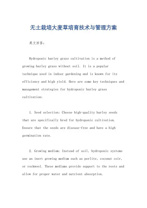 无土栽培大麦草培育技术与管理方案