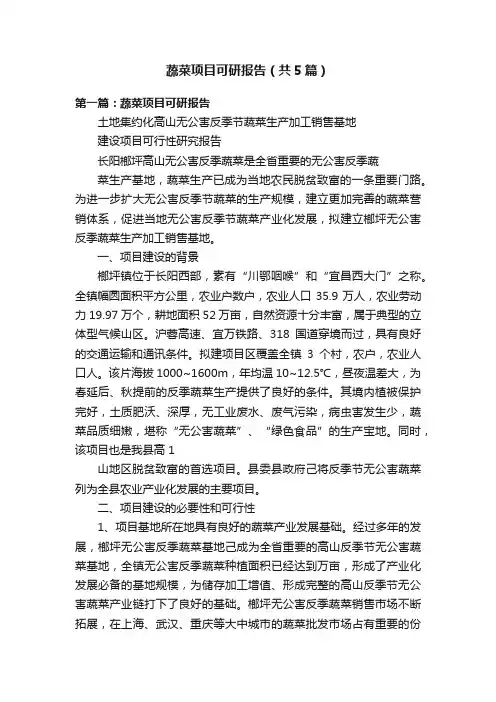蔬菜项目可研报告（共5篇）