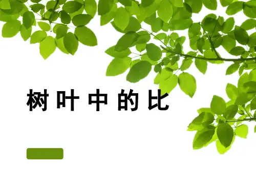六年级上册数学课件 - 第三章 树叶中的比    苏教版2014秋 (共33张PPT)