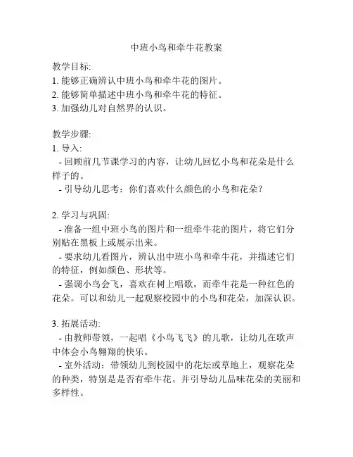 中班小鸟和牵牛花教案