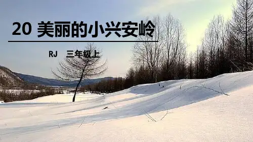 部编版三年级上册语文《美丽的小兴安岭》说课教学PPT课件