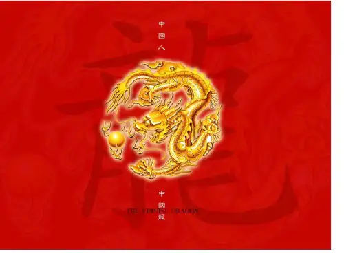 中华第一龙课件