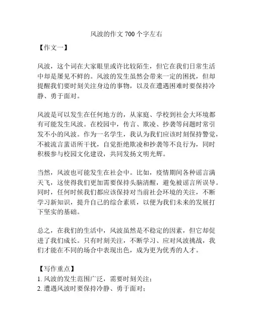 风波的作文700个字左右