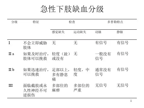 下肢缺血分级ppt课件