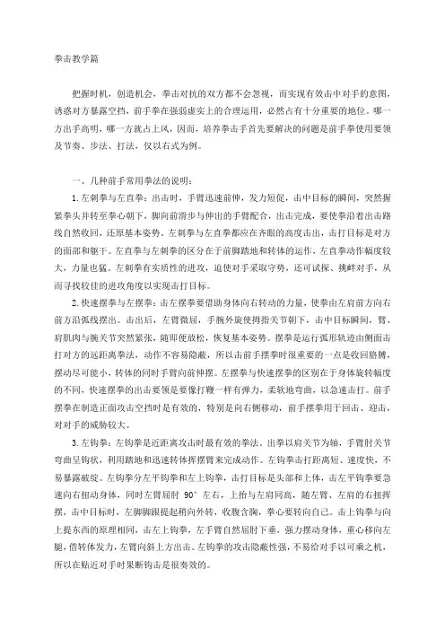 拳击教学专题讲解